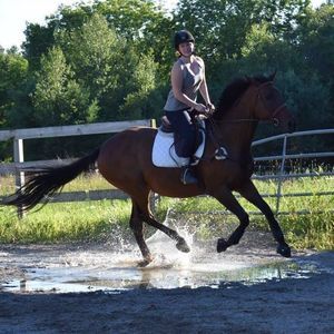 Meet your Posher, Ayla